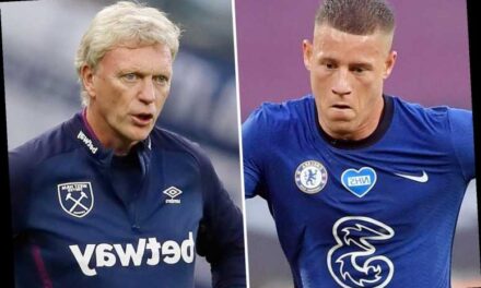 Ross Barkley na liście życzeń Moyesa?