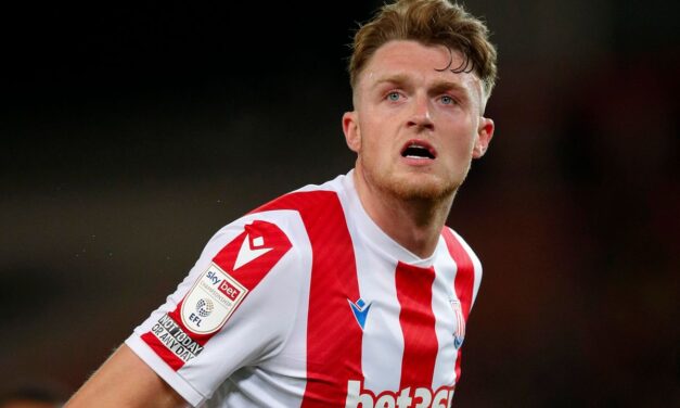 ExWHUemployee: West Ham chciałby podpisać kontrakt z obrońcą Stoke City, Harrym Souttarem