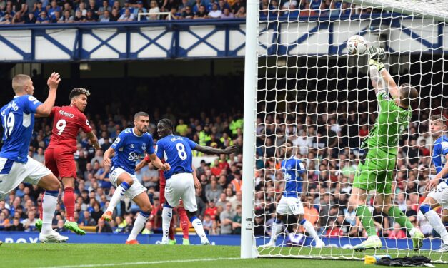 Duet z Evertonu na celowniku West Hamu