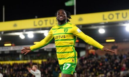 West Ham obserwuje gwiazdę Norwich City